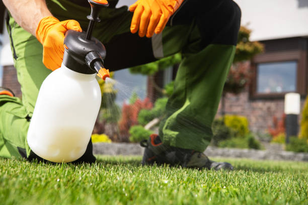 Best Mosquito Control Services  in Carbondale, KS