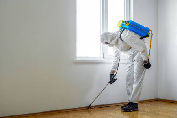 Best Insect Control  in Carbondale, KS