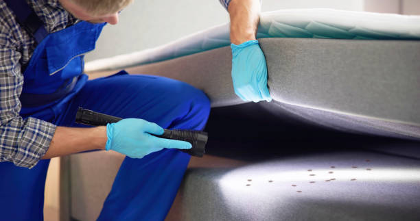 Best Cockroach Control Services  in Carbondale, KS