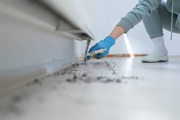 Trusted Carbondale, KS Pest Control Experts